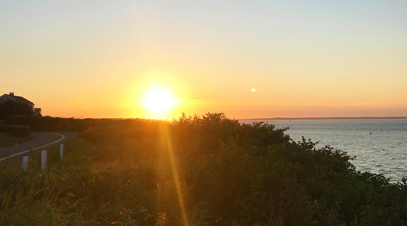 Maddie in Martha's Vineyard