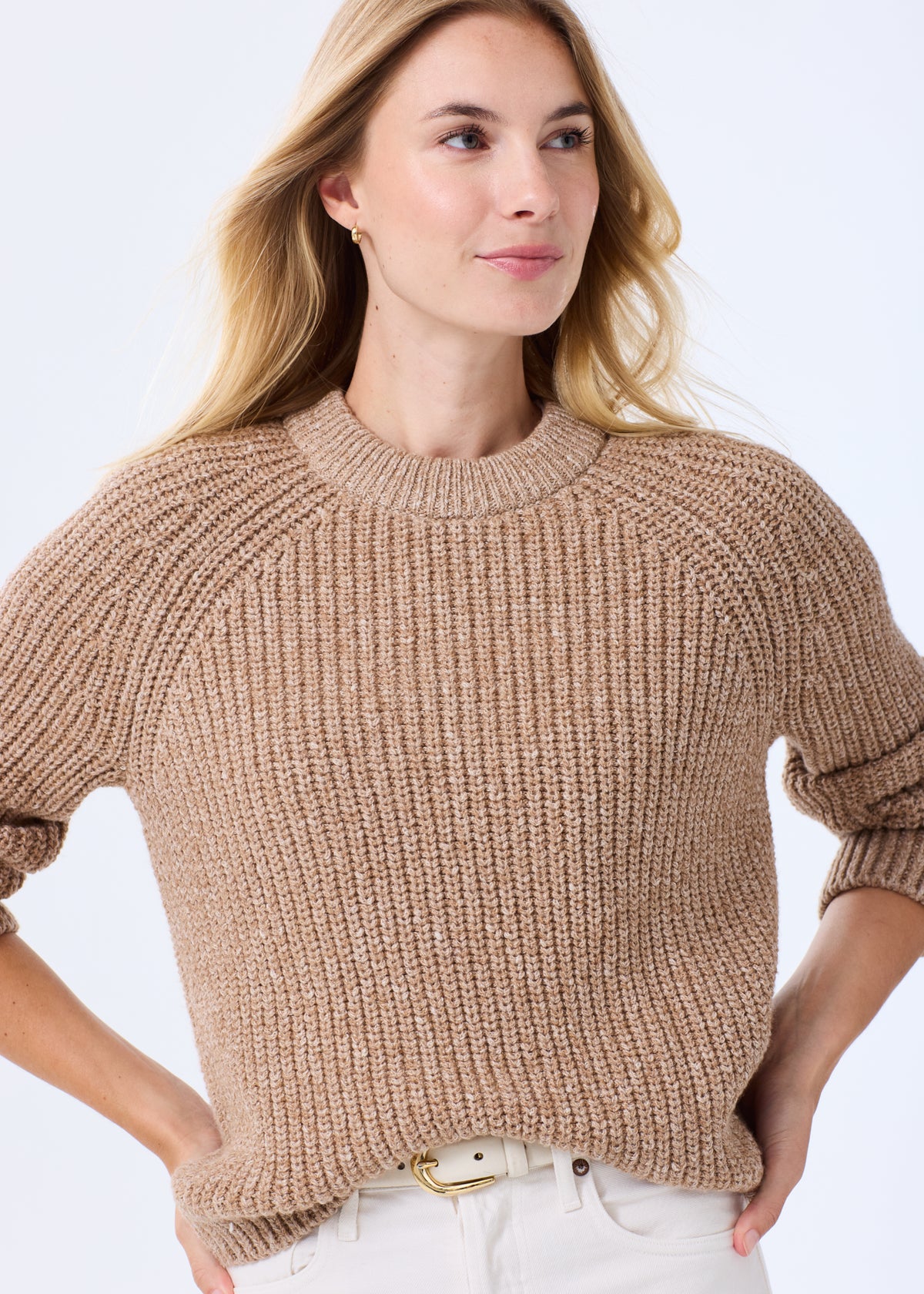 The Alpaca-Cotton Crewneck Sweater