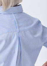 The Classic Button Down - Striped